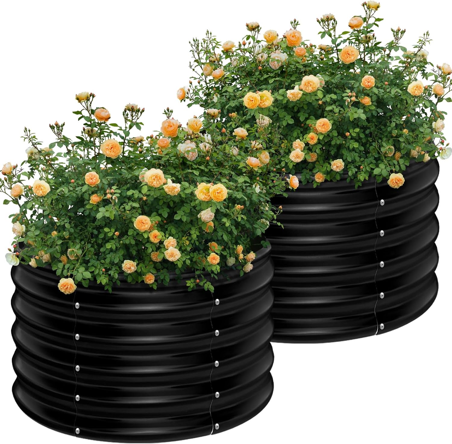 2 Pack 2x2x1.5ft Round Galvani - Raised Bed Planter Box ulasan dan harga