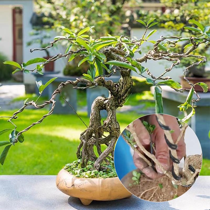 10 M Aluminum Bonsai Training  - Gardening Tools Diy ulasan dan harga