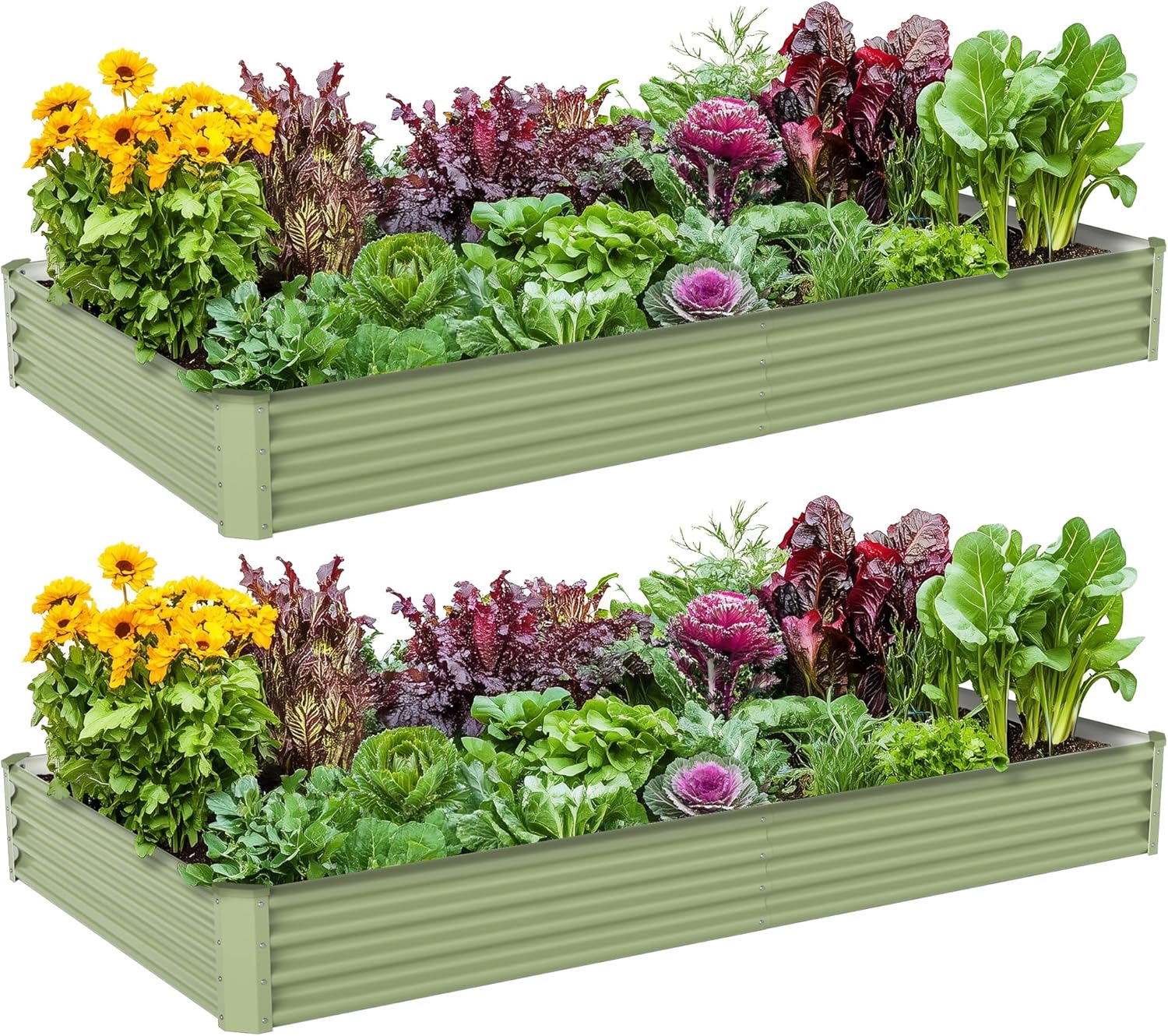 Outdoor Vegetable Gardening Me - Raised Bed Planter Box ulasan dan harga