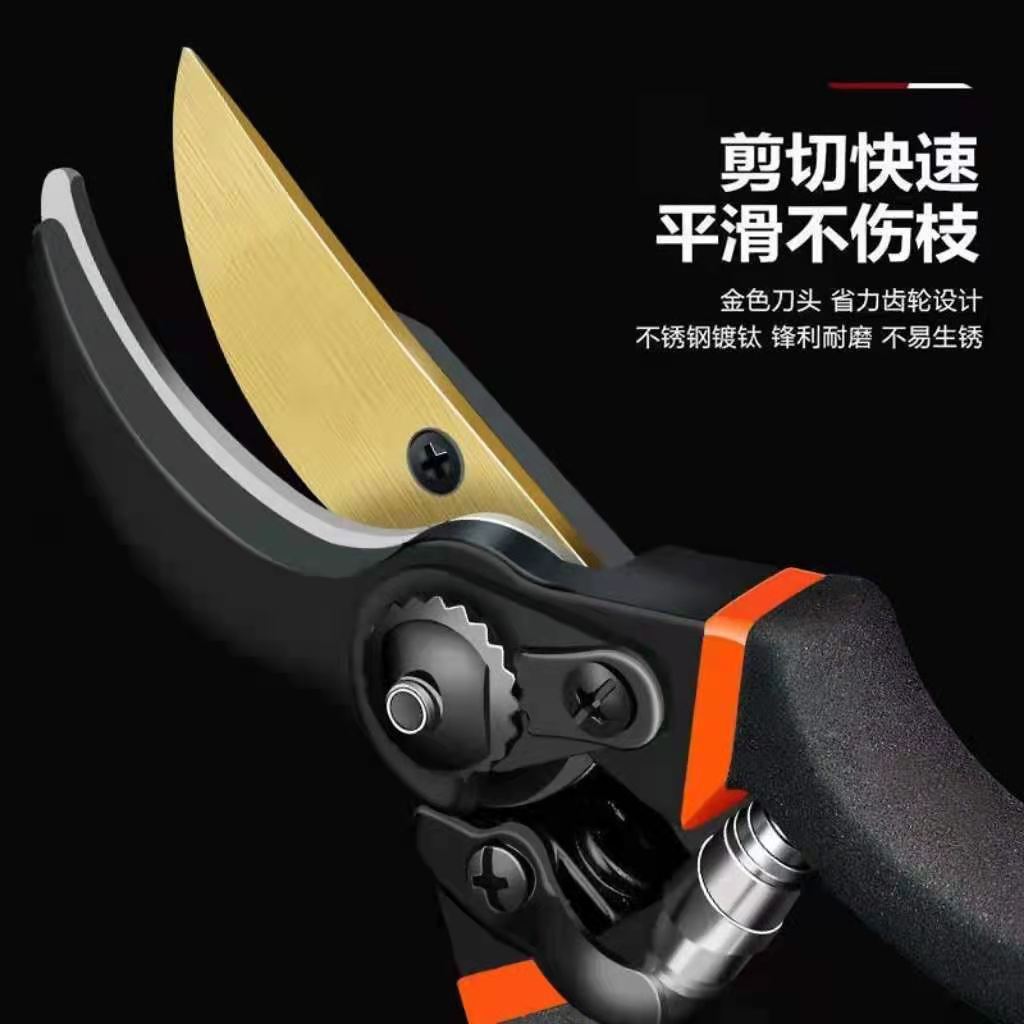 Japan Thickened SK5 Steel Bran - Gardening Tools Japan ulasan dan harga