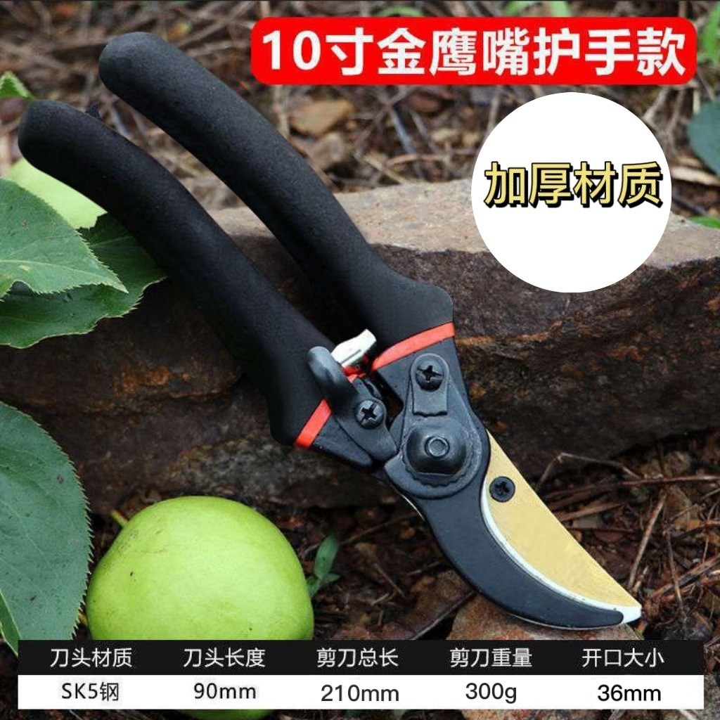 Japan Thickened SK5 Steel Bran - Gardening Tools Japan ulasan dan harga
